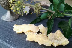 Baumharz reinigen mit Wasser oder Feuer - 2 Methoden