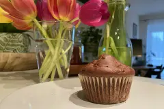 Kalorienarme Birnen-Buttermilch-Kakao-Muffins