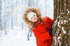Warum frieren die B&auml;ume im Winter nicht?