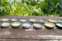 Nacktschnecken erfolgreich abwehren