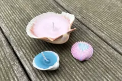 Muschel-Kerzen selber machen &ndash; DIY