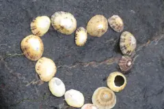 Mitmenschen mit kleinen Gesten helfen