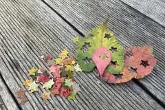 Konfetti aus Laubbl&auml;ttern selber machen