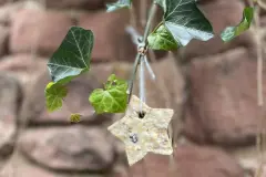 Vogelfutter selber machen mit Kokosfett