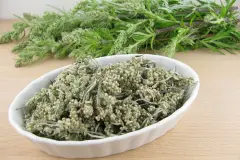 Immunsystem st&auml;rken mit Beifu&szlig; - Allzweckwaffe aus der Natur