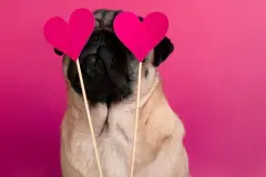 Br&auml;uche am Valentinstag weltweit