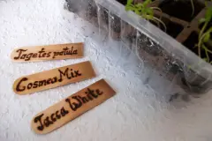 Pflanzenstecker aus Eisstielen selber machen - Upcycling DIY