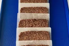 Frisches Brot: richtig einfrieren und immer vor dem Genuss toasten