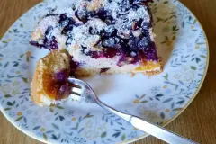 Heidelbeerkuchen vom Blech mit Aprikosen