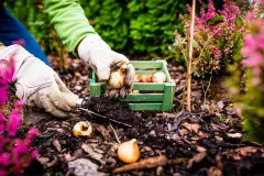 Gartenarbeit im November &ndash; Was kann ich jetzt noch auss&auml;en?