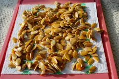 K&uuml;rbiskerne als Vogelfutter verwenden
