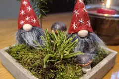 Weihnachtsdeko für den Kaffeetisch