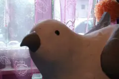 DIY Keramik-Reparatur - einfach und schnell