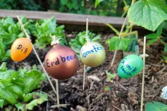 DIY-Kr&auml;uterschilder aus alten Weihnachtskugeln