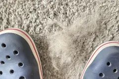 Hundehaare vom Teppich entfernen mit Crocs