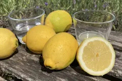 Zitronenwasser: Gesunde Entgiftung f&uuml;r Leber und Haut