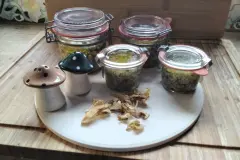 Steinpilz-Pesto