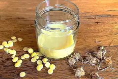 Arnika-Salbe selber machen &ndash; mit 4 Zutaten