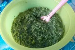 M&ouml;hrengr&uuml;n-Pesto mit Haseln&uuml;ssen