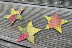 Sterne mit Herbstlaub basteln &ndash; DIY Anleitung