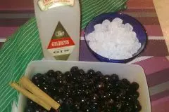 Schlehen-Gin