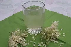 Holundersirup selber machen