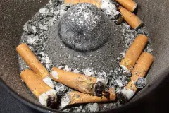 Ameisen mit Nikotin bek&auml;mpfen