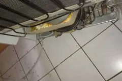 Gestank durch K&uuml;hlschrank / Wasserauffangbeh&auml;lter