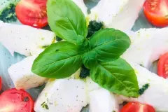 Mozzarella selber machen