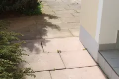 Sp&uuml;lmittel gegen Ameisen