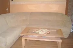 Polster reinigen mit Glasreiniger