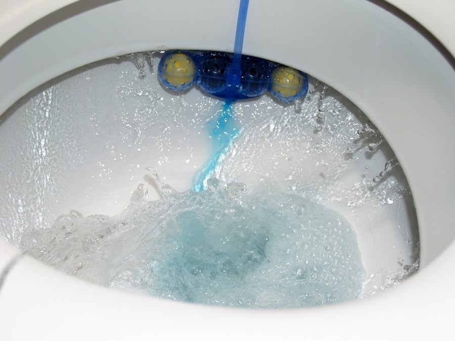 Erfahrungsberichte Zu Wc Frisch Blau Kraft Aktiv Lemon 2017