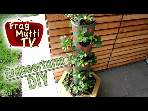 Erdbeerturm selber bauen - Anleitung | Frag Mutti TV