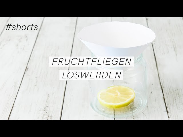 Fruchtfliegenfalle selber machen - so geht's
