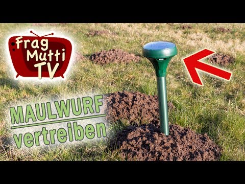 Maulwurf vertreiben - 3 Tipps | Frag Mutti TV