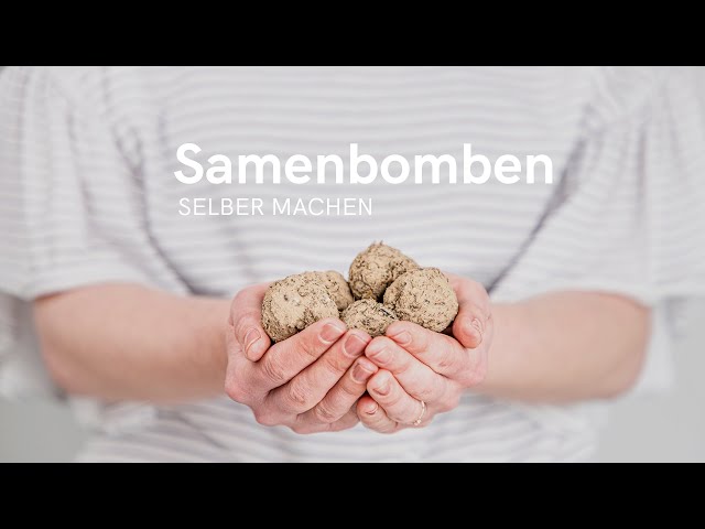 Samenbomben selber machen