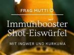 Ingwer-Kurkuma-Shot-Eiswürfel selber machen