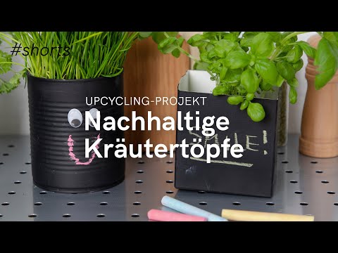 Kräutertöpfe selber machen: Küchenkräuter in alten Tetra Paks pflanzen