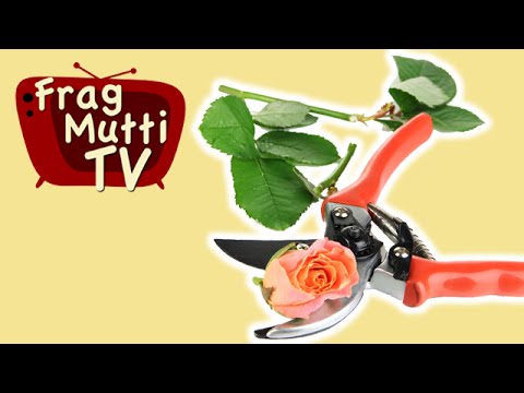 Rosen einfach schneiden - Frag Mutti TV