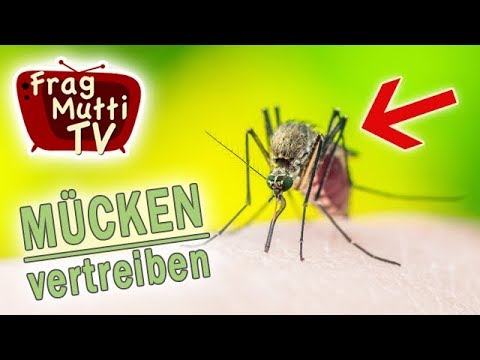 Mücken & Fliegen vertreiben | Frag Mutti TV