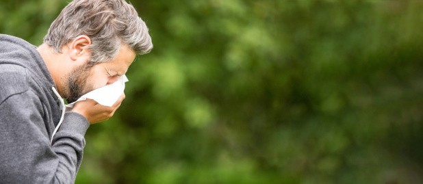 Heuschnupfen: Erfahre hier, was gegen deine Pollenallergie hilft.